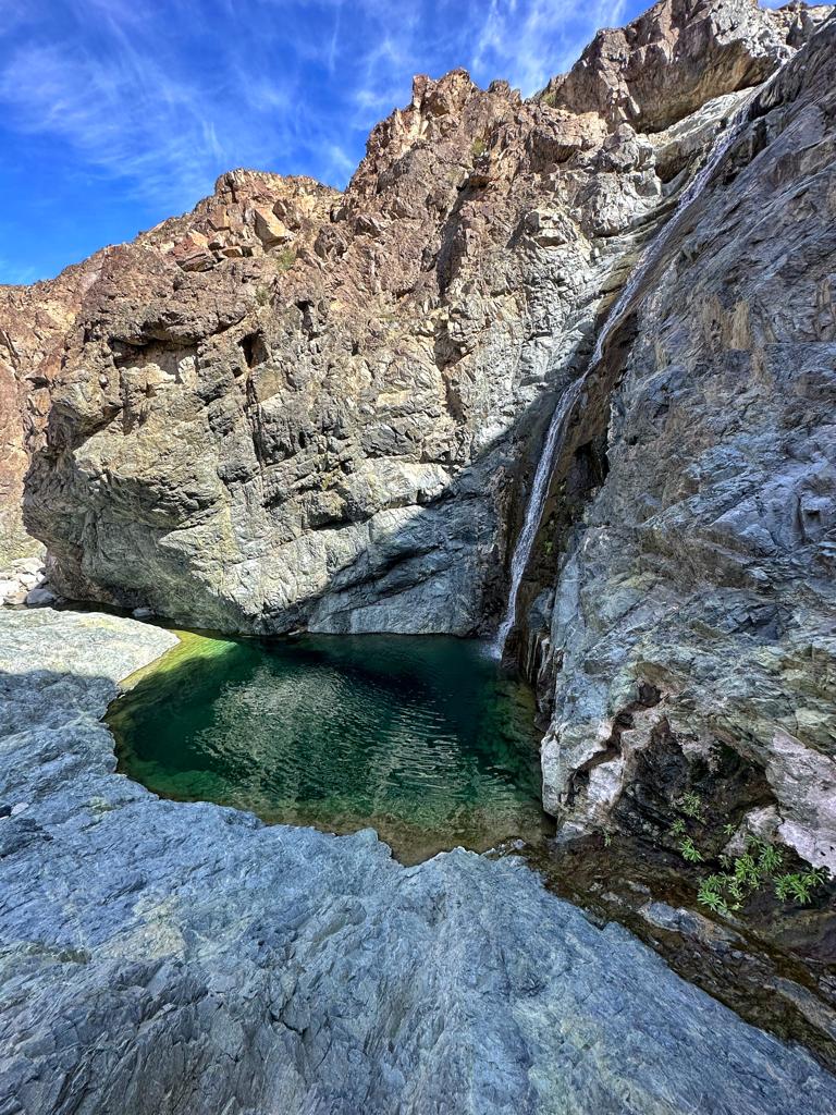 منطقة المدينة المنورة